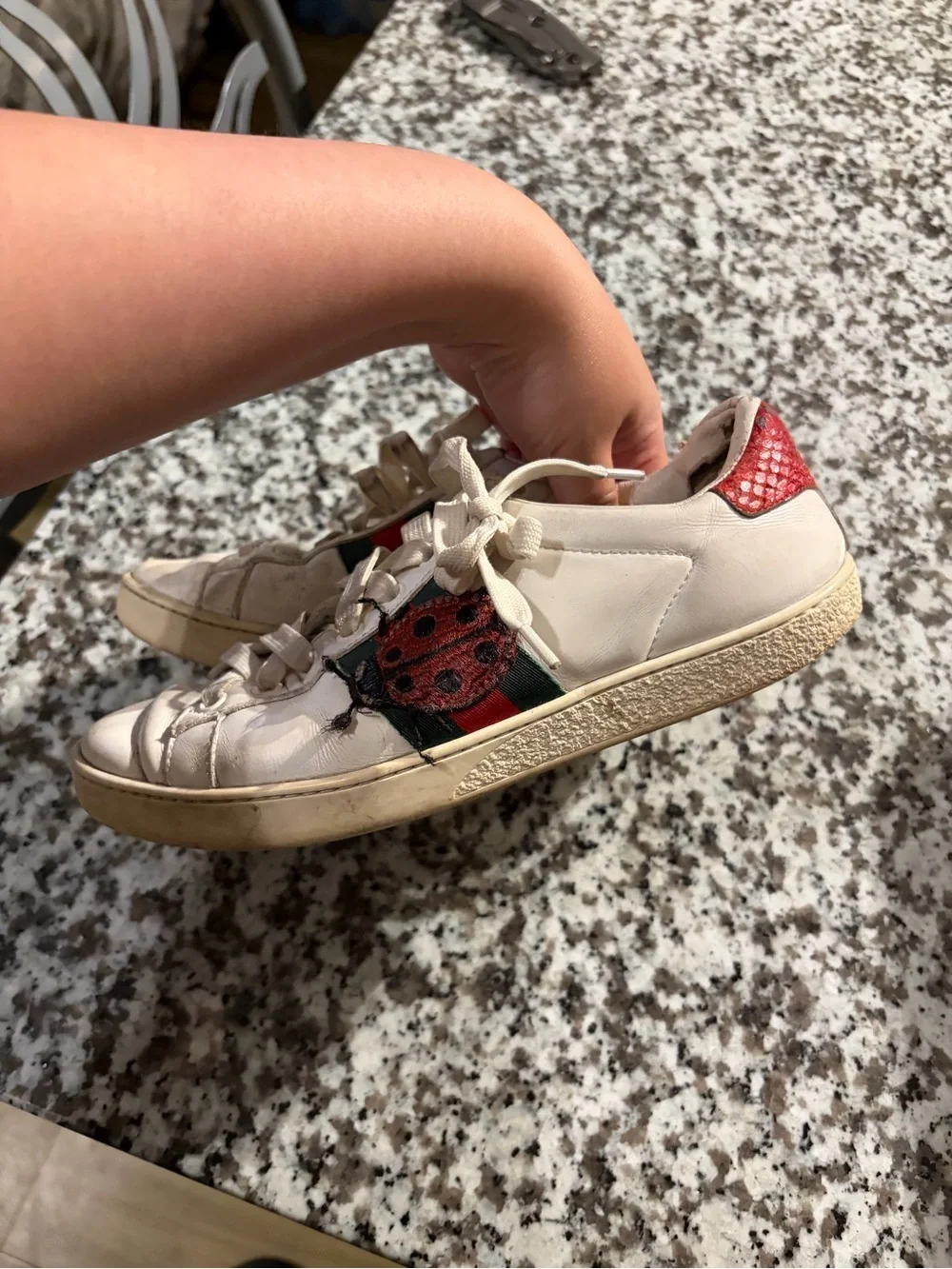 Gucci Embroidered Pineapple & Ladybug Sneakers